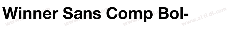 Winner Sans Comp Bol字体转换